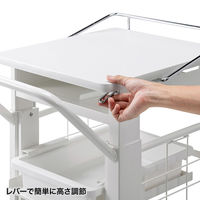 サンワサプライ カンチ式昇降カルテカート RAC-HP105W 1個（直送品）