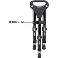 サンワサプライ キャスター付き三脚台(折り畳み式) DG-CAM31 1個