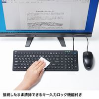 有線キーボード　ラバースイッチ　抗菌防水防塵仕様　スタンダード　ブラック　SKB-BS7BK　サンワサプライ　1個（直送品）