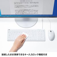 有線キーボード　ラバースイッチ　抗菌防水防塵仕様　スタンダード　ホワイト　SKB-BS7W　サンワサプライ　1個（直送品）