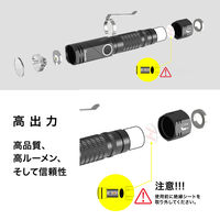 NICRON B74i 首振り 600LM 1個（直送品）