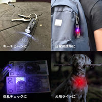 NICRON K11 キーチェーンポケットライト 400LM v3.0 1個（直送品）