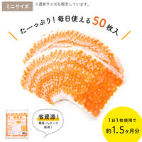 ごみっこポイ 自立型 水切りゴミ袋 スタンドタイプ E Sサイズ オレンジ 1セット（1袋（50枚入）×5）ネクスタ