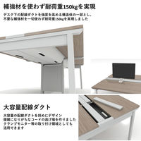 【軒先渡し】LASHデスク フォーレッグホール脚 幅4800×奥行1200×高さ720mm ダークアッシュ天板/ブラック脚 1台（直送品）