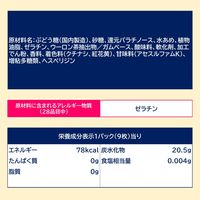 ガム チウインガム ラムネ 9枚入 1セット(1個×20)