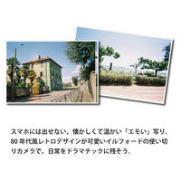 ILFORD イルフォカラー ラピッド レトロ(27枚撮り)使い捨てカメラ 432980_10 1箱(10個)（直送品）