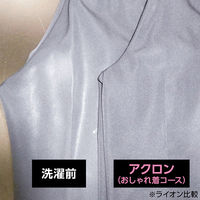 アクロン フローラルブーケの香り 本体 450ml 1セット(1個×15) 洗濯洗剤 ライオン