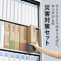 【防災セット】 キングジム 災害備蓄セット 9年保存（1日分） BCS-400 1個