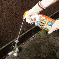 フマキラー 泡の除草王 1000ml 4902424453553 1本（直送品）