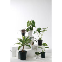 大和プラスチック 根はりポット 24型 4903266731830 1個（直送品）