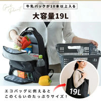 ディーエーピーネットワーク 保冷マザーズリュック 19L 大容量 撥水 ママバッグ bon031_BK 1個（直送品）