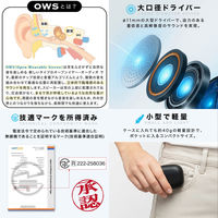 ディーエーピーネットワーク オープンイヤーイヤホン OWS 空気伝導 ワイヤレス monowa090-bk 1個（直送品）