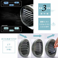 ディーエーピーネットワーク 冷風扇 卓上 ミスト機能 500mlタンク ホワイト wasser fan001 1台（直送品）