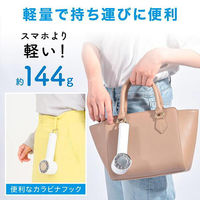 ディーエーピーネットワーク ハンディファン 冷却プレート ー12°C瞬間冷却 ホワイト wasser fan010 1個（直送品）