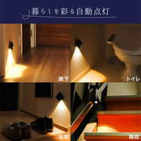 ディーエーピーネットワーク センサーライト 室内 人感センサー 足元灯(1個) wasser100_bk 1個（直送品）