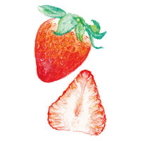 ファーバーカステル 色鉛筆C 48色セット TFCC-CP/48C 1個（直送品）