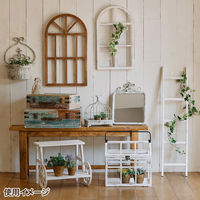 Habiter(アビテ) トランクボックス L ANE-602-AA 1個（直送品）