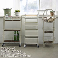 Habiter(アビテ) スレン・スリムカート ZU-601-BK 1個（直送品）