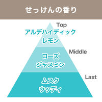 【復活特別価格】【アスクル限定】トイレの消臭剤　置き型　せっけんの香り 10個 エステー　消臭芳香剤　 オリジナル