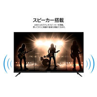 JAPANNEXT 【設置込み】50インチワイド4K液晶モニター 純正スタンドセット JN-HDR50VUHDJRF-KUMI 1台（直送品）