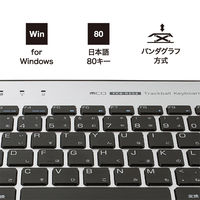 ナカバヤシ 無線 トラックボール搭載キーボード シルバー FKB-R252SL 1個（直送品）