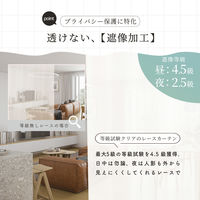 サンローズ 4枚組 カーテン レースカーテンセット レイトン 1000×1500mm ブラウン 1セット(4枚入)（直送品）