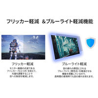 JAPANNEXT 43インチ ワイド 4K液晶ディスプレイ JN-HDR432IPSUM 1台（直送品）