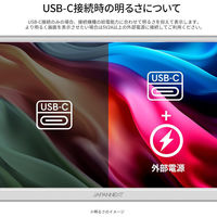 JAPANNEXT 15.6インチ ワイド モバイルディスプレイ JN-MD-IPS156F2-W 1台（直送品）