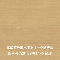 【軒先渡し】ナカバヤシ アバンテ・リネア フロアストレージ 浅18段 幅277×奥行400×高さ1070mm ブラック 1台（直送品）