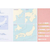 学研ステイフル QuizKnock クイズノック 地図付箋 世界 12枚×4柄入 黄 M06825 1セット(1個×2)（直送品）