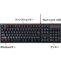 サンワサプライ 日本語109キーボード ブラック SKB-109PBK 1台