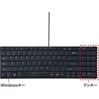 サンワサプライ 英語配列USBスリムキーボード SKB-E2UN 1台