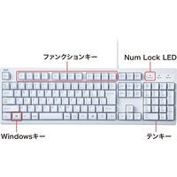 サンワサプライ 日本語109キーボード ホワイト SKB-109PW 1台