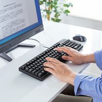 サンワサプライ 英語PS/2キーボード SKB-E5PBK 1台