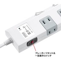 延長コード 電源タップ 3m 2P（ピン） 10個口 スイッチ ホワイト TAP-SP2110SW-3 サンワサプライ 1個