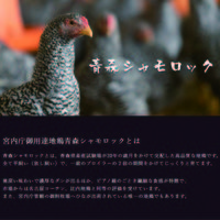 【手土産やお祝いの贈り物に】 青森シャモロック 焼き鳥セット　ギフトカード　二重封筒（直送品）