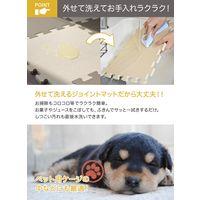 シービージャパン ジョイントカラーマット40枚組 バナナ 4560108669623 1セット(8枚組)