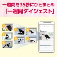 パナソニック HDペットカメラ KX-HDN215-K ブラック 転倒防止構造 音センサー 温度センサー 首振り機能 会話機能 200万画素