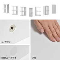 【軒先渡し】B.Bファニシング BF DECO 3段ラック 幅500×奥行300×高さ720mm ホワイト 1台（直送品）