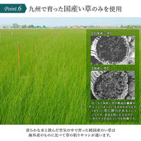 イケヒコ SAKURA富士 - 60×180cm 1330180010204 1個（直送品）