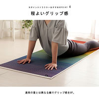 イケヒコ チャクラ - 66×185cm 1331280010303 1個（直送品）