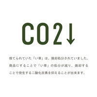 イケヒコ みらい フレグラス 600mm 1370090010904 1枚（直送品）