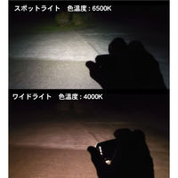 WUBEN LEDヘッドライト H4 1台（直送品）