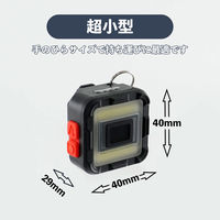 ビッグマン マイクロBluetoothスピーカー withライト 充電式 BMSL-ZERO1 1個（直送品）