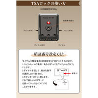耐衝撃・ストッパー付静音キャスター・アルミフレーム 【NT-ZB1101】 NT-ZB1101 ガンブラック S スーツケース 1台（直送品）