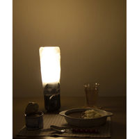 電響社 ZEPEAL 手回し充電ラジオライト GR DJL-H363 1個（直送品）