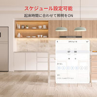 SwitchBot スイッチボット Hub mini ハブミニ ホワイト 3R-WOC03WT 1個（直送品）