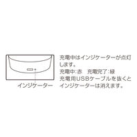 ケーアイジャパン テーブルライト ガラス製 無段階調光 充電式 クラルテ ライン LEDランタン 495440 1個（直送品）