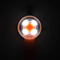 ルークラン ライト 散歩 犬 ループセイフ ウルトラLED オレンジ 495837 1個（直送品）