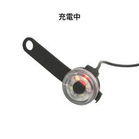 ルークラン ライト 散歩 犬 ループセイフ ウルトラLED ブルー 495835 1個（直送品）